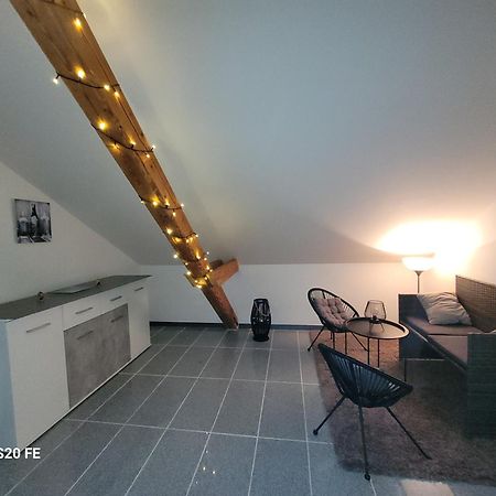 Penthouse N74 Linz 120 Qm Kids Welcome! Ngoại thất bức ảnh